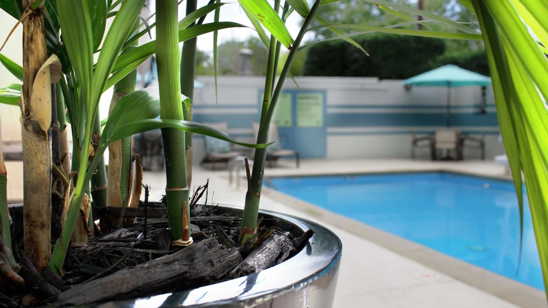 Doubletree By Hilton Charlotte Uptown Hotel United States